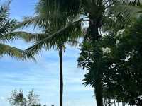 Phu Quoc Beaches: Vietnam’s Tropical Paradise You Can’t Miss!