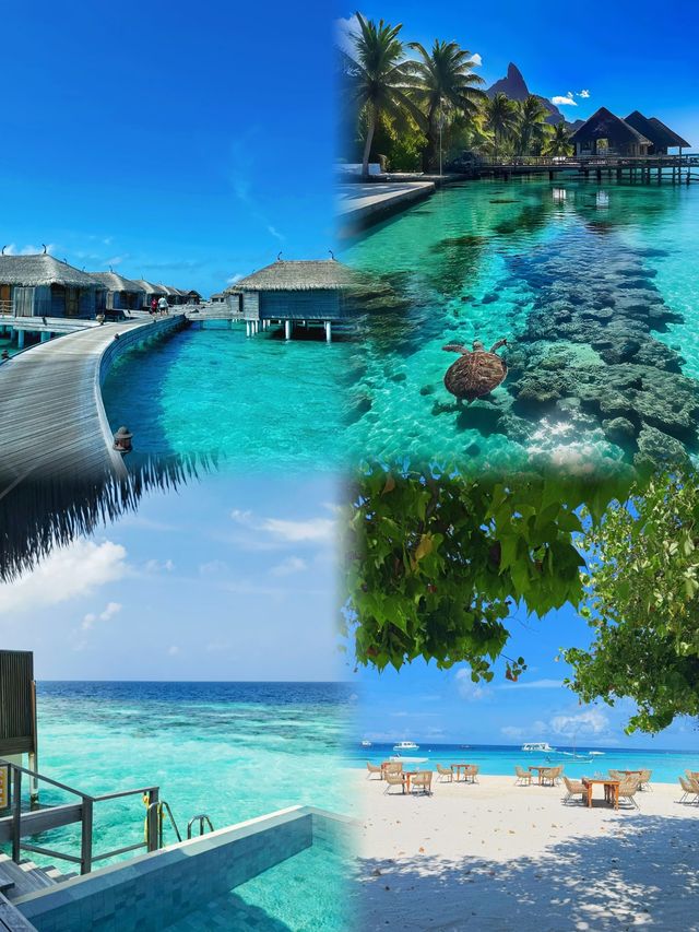 馬爾代夫｜說走就走的免簽果凍海天堂