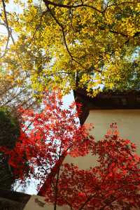 不愧為上海五大園林,驚嘆老祖宗的審美!