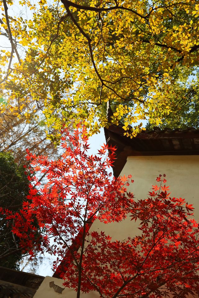 不愧為上海五大園林,驚嘆老祖宗的審美! 不愧為上海五大園林,驚嘆老祖宗的審美!