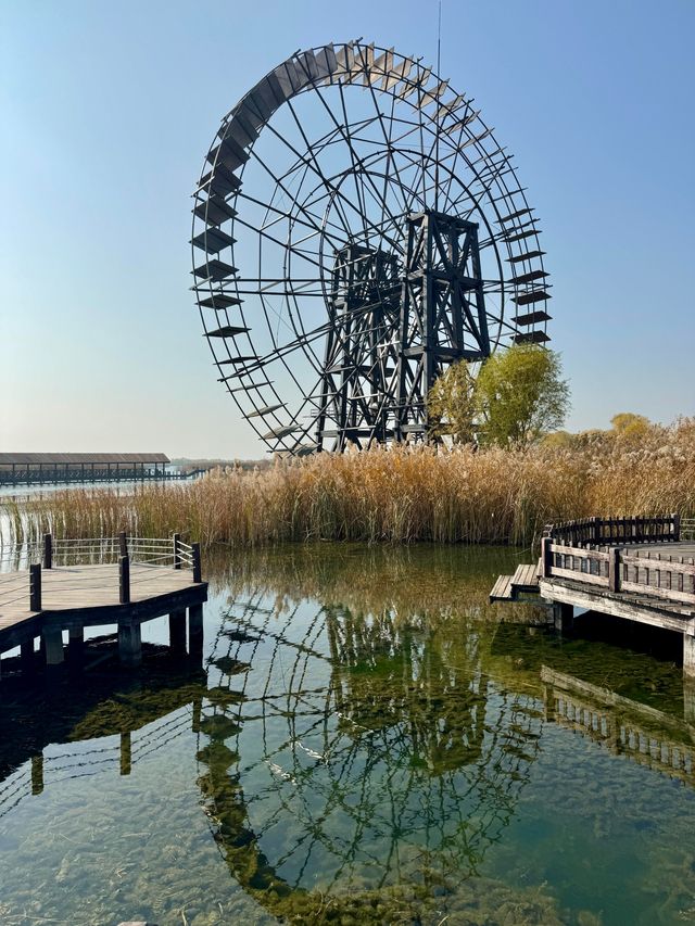 蘇州私藏秋日寶藏|太湖湖濱濕地公園,免費美到驚嘆 蘇州私藏秋日寶藏|太湖湖濱濕地公園,免費美到驚嘆