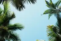 中科院植物園拍照YYDS