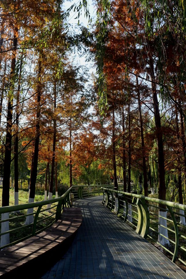 週末出逃|特種兵寧波兩日遊攻略 週末出逃|特種兵寧波兩日遊攻略