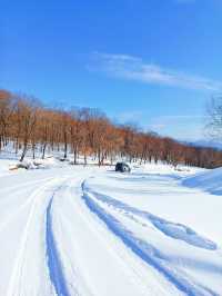 【哈爾濱·原生態雪景穿越路線】