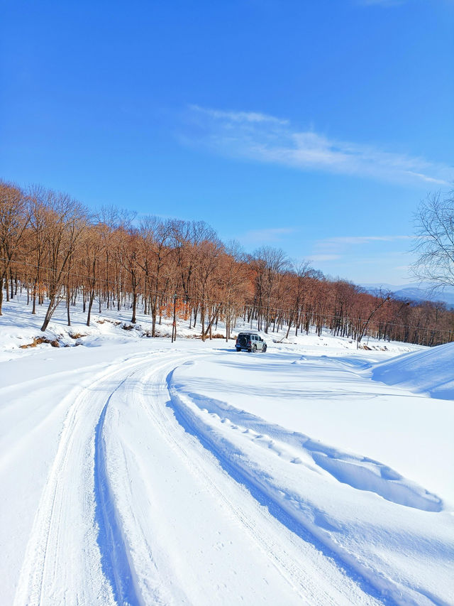 【哈爾濱·原生態雪景穿越路線】