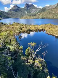 什麼!原來塔斯馬尼亞的鴨嘴獸都在這!!