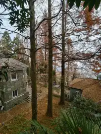 浙江徒步|古堡配紅楓跟風最成功的一次