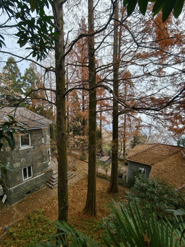 浙江徒步|古堡配紅楓跟風最成功的一次