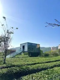 溪禾山當一天“茶農”，玩轉鐵觀音文化～