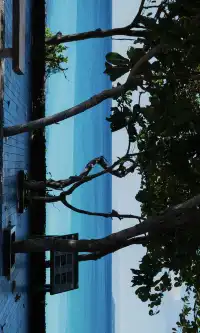 墾丁丨台灣最美26號公路