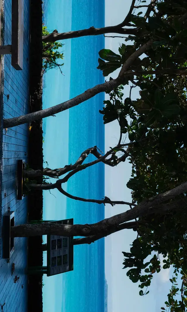 墾丁丨台灣最美26號公路 墾丁丨台灣最美26號公路