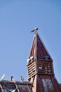 私藏大連海景攻略