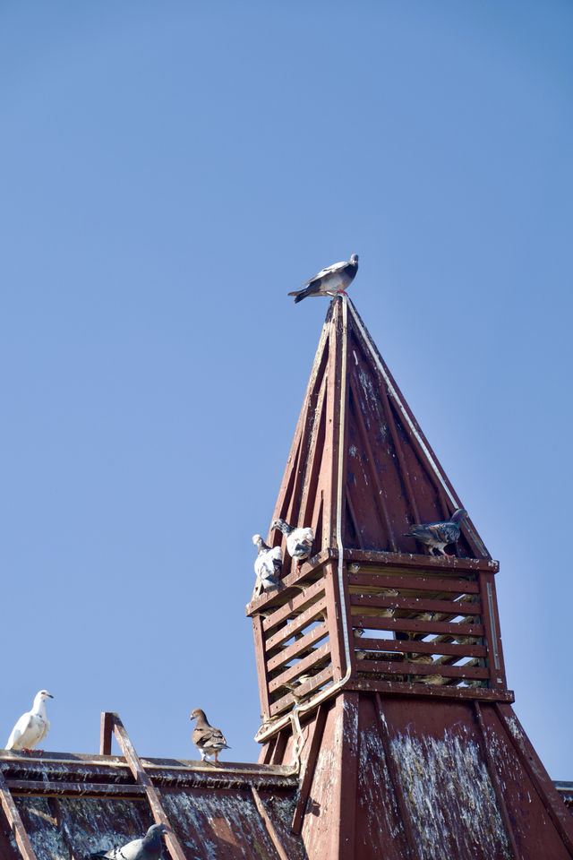 私藏大連海景攻略 私藏大連海景攻略