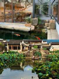 追絕美魚燈寶藏地