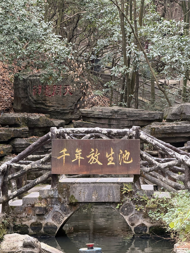 張家界 / 神龜潭 張家界 / 神龜潭