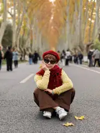 南京鐘山風景區漫遊