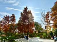 魔都小眾治癒地輔德里公園|市中心藏的森林綠洲