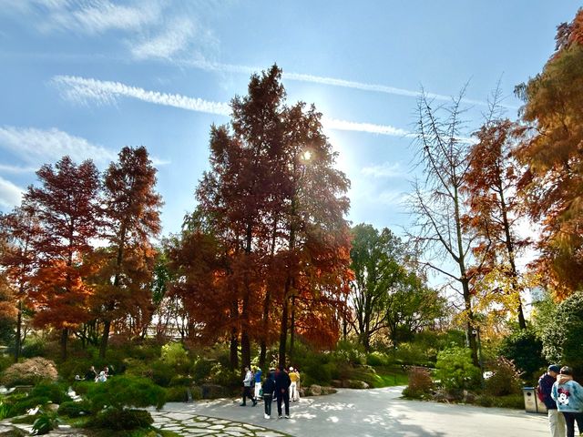 魔都小眾治癒地輔德里公園|市中心藏的森林綠洲 魔都小眾治癒地輔德里公園|市中心藏的森林綠洲