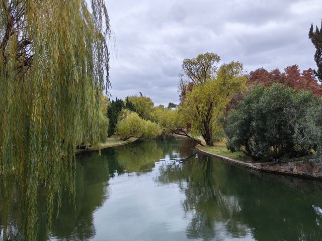初冬暖陽下的多彩上海共青森林公園 初冬暖陽下的多彩上海共青森林公園