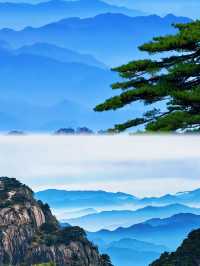 黃山歸來不看岳?我信了 雲海、奇松、怪石,每一幀都是國畫