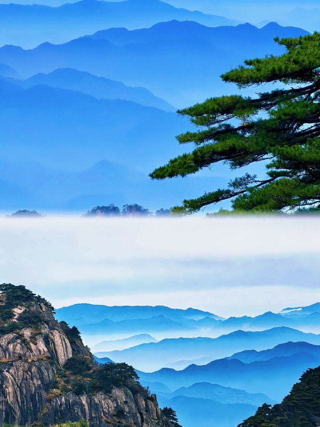 黃山歸來不看岳?我信了 雲海、奇松、怪石,每一幀都是國畫 黃山歸來不看岳?我信了 雲海、奇松、怪石,每一幀都是國畫