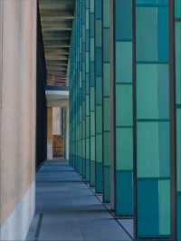 杭州國家版本館｜藏在良渚的中式美學天花板