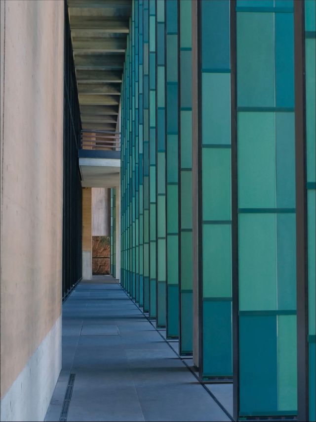 杭州國家版本館｜藏在良渚的中式美學天花板