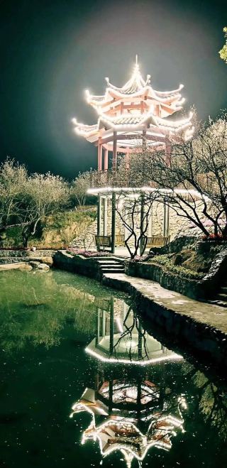 겨울 매화 감상 명소 가이드