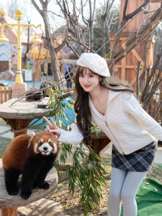 Парк "Animal Kingdom" на новогодней вечеринке в саду был невероятно фотогеничен!