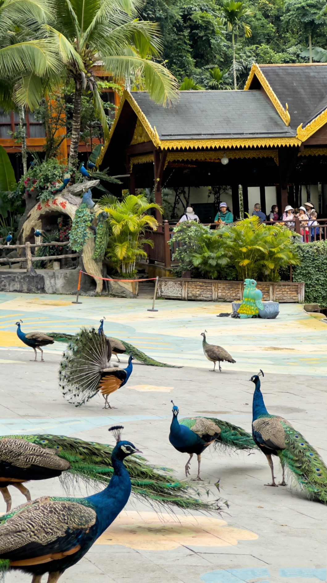 1. Tour tham quan thung lũng Binglang, Sanya cùng gia đình | Trải nghiệm văn hóa Li và Miao và đưa con bạn lên đỉnh với chi phí dưới 1000 Nhân dân tệ