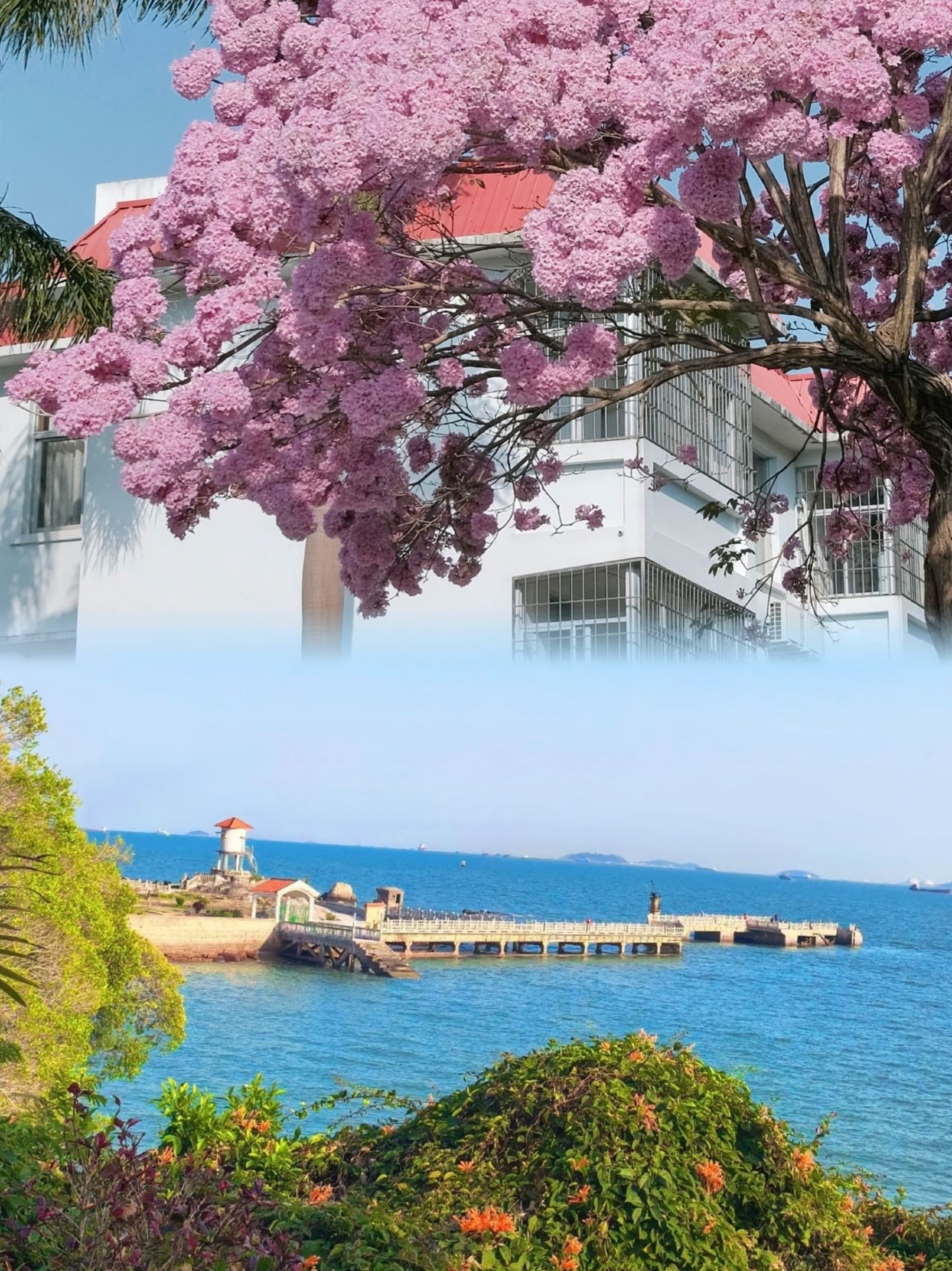  Fujian Xiamen: Leisure Time on the Artistic Island

Reasons to visit: In March, Xiamen does not have the summer heat or typhoons. The sea breeze is gentle and the sunshine is warm. At this time, airfares and accommodation prices are relatively low, making it a great time to travel off-peak.

What to do: Must-visit Gulangyu Island (enjoy panoramic views from Sunlight Rock, try snacks on Longtou Road), Huandao Road (cycling or walking), Shapowei (a gathering place for artistic shops), Botanical Garden (the succulent plant area is very photogenic). Photography lovers can go to Huangcuo Beach to watch the sunrise.

What to eat: Satay noodles, ginger duck, tusun jelly, oyster omelette.

Tips: It is recommended to book Gulangyu ferry tickets in advance via the “Xiamen Ferry+” mini program. Xiamen University may currently be closed to the public, so it’s best to check the latest policies before traveling.