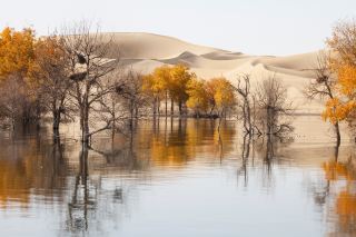 Magnificent Xinjiang: Grand and Vast, Pastel and Gentle, Magical and Diverse
