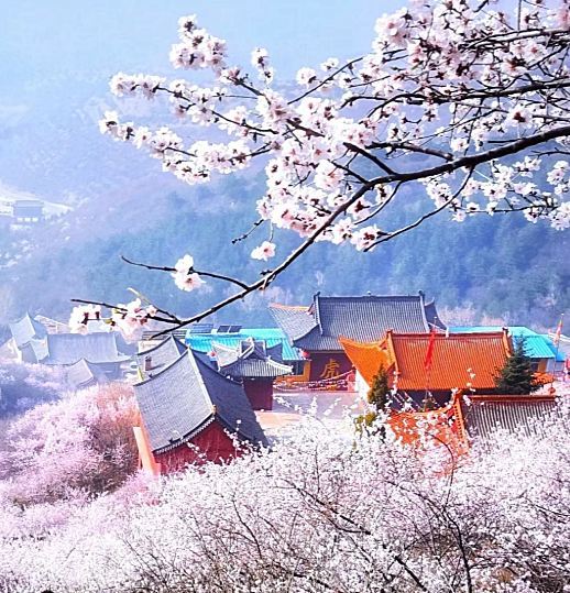桃源郷 これがまさに現実版の桃源郷でしょう | Trip.com 大同