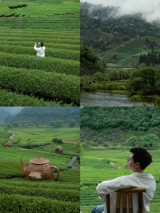 Wuyishan's Hidden Tea Garden Check-in Spot: Few People, Beautiful Scenery