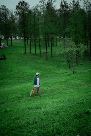 雨の日に必ず訪れたい森の秘境、佛山平歩村の癒しの緑