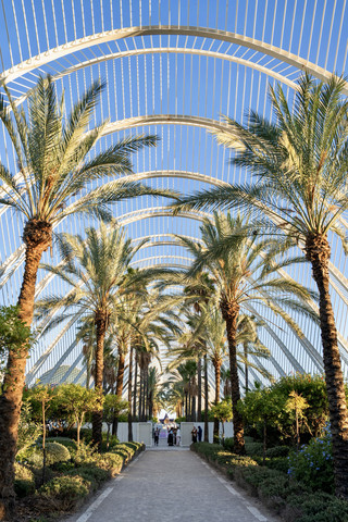 Valencia, Spain: A Day Traveling Between the Future and the Middle Ages