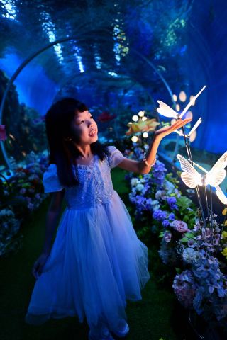 Here's a guide to Shunde Oceanarium for eating and exploring!