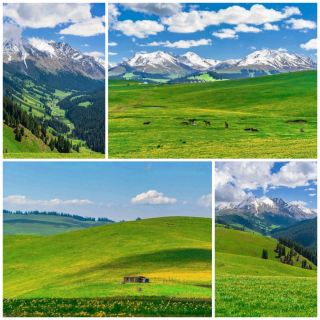 Legendary Yili scenery at Karajun Kuerdai Valley is amazing!