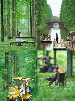 Shanghai 2h direct to Jiangsu’s “Little Xinjiang” is so healing