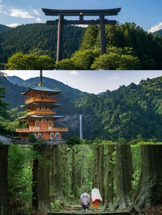 這次去關西,除了在市區看展,特意排了兩天行程去和歌山的熊野古道。本身對古道建築與自然的融合很感興趣,這次選了最經典、難度最低的大門坂至那智瀑布路段。

以下是當天的時間線和路線記錄:

· *交通與準備**
早上從紀伊勝浦站出發。站外的寄物櫃收費500日元,先把大行李寄存好,注意要在下午5點前取回。
在站前轉乘31路熊野巴士。這個班次比較疏,一小時只有一班,建議出發前先去旅客服務中心拿一張實體時刻表。坐到「大門坂」下車開始步行。

· *步行路線(全程約2.5小時)**
1. **大門坂入口**:起點是兩棵樹齡達800年的「夫婦杉」,樹冠遮天蔽日。沿著青苔石階拾級而上,這條石階自平安時代(8世紀)保留至今,石材的質感和林間的光影非常好。
2. **熊野那智大社**:朱紅色的社殿在深山綠林中對比強烈,供奉的是瀑布之神。院內有一棵850年的巨大樟樹,樹洞可以穿過去祈福。
3. **青岸渡寺**:緊鄰那智大社,屬於日本西國第一番札所。這裡有最經典的視覺構圖——朱紅色的三重塔與後方深谷中的那智瀑布同框,人工結構與自然景觀的比例恰到好處。
4. **那智瀑布**:落差達133米,是日本落差最大的瀑布。走近能聽到巨大的水流聲,旁邊有據說能延年益壽的「延命水」可以飲用。

· *一些實際體驗**
· 山區溫差大,建議帶備一件薄風衣。
· 雖說是新手路線,但石階因青苔而略顯濕滑,建議穿著抓地力好的鞋子。
· 喜歡收集御朱印的話,記得帶上朱印帳,把熊野三山的印章蓋齊,字體和設計都很有特色。

整體行程節奏很舒服,環境安靜。下次還願意再來,挑戰其他更長的徒步路段。