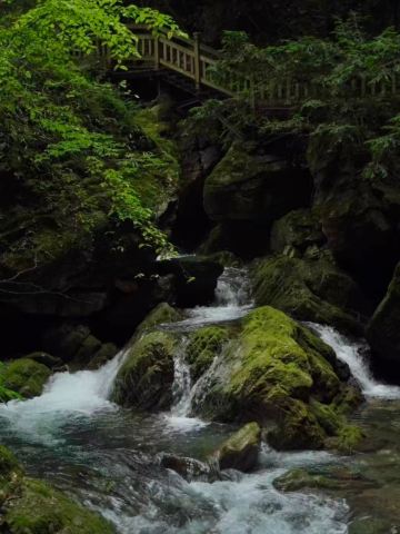 Misty Secret Realm, Picturesque Landscapes | Trip.com Shennongjia