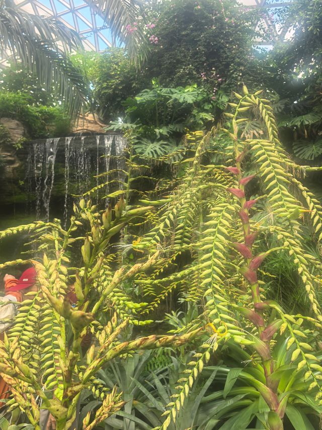上海週末獨享花海