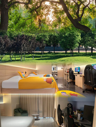 Baoding Trip | Stay at This E-sports Hotel After Visiting the Botanical Garden