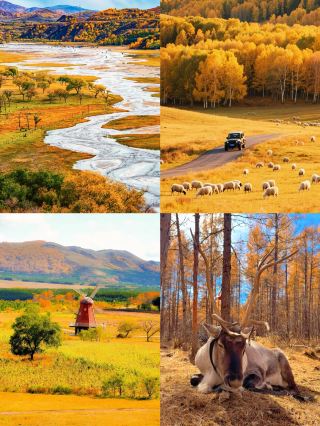 Just got back from Ulan Butong. I really don't recommend going in September–October, because it's just...