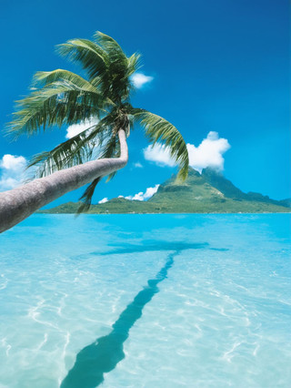A multi-country trip to French Polynesia for the Mid-Autumn Festival is amazing!