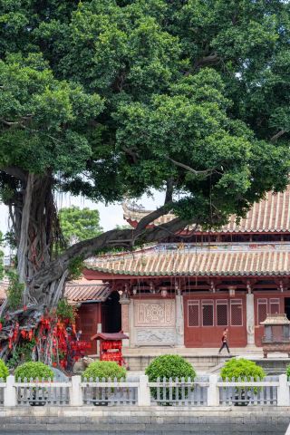 Quanzhou Confucian Temple | Step into Dacheng Hall and touch the thousand-year cultural pulse of this World Heritage ancient city.