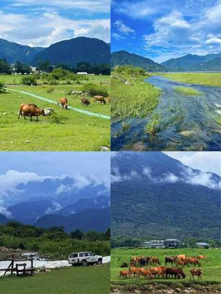 1.5 hours from Guangzhou! Escape to the "Little Xinjiang of the South"—the grassland windmills are so soothing