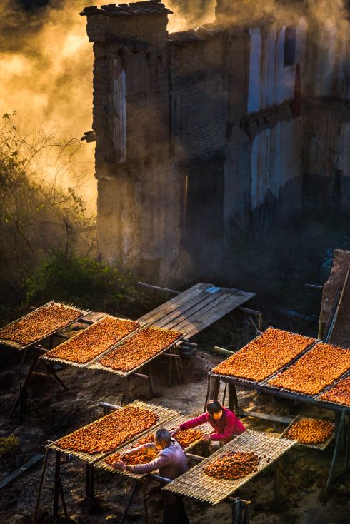 Nằm giữa núi non và biển cả ở Ninh Đức, ta tìm thấy trọn vẹn vẻ đẹp dịu dàng của mùa thu ở phía đông Phúc Kiến.
