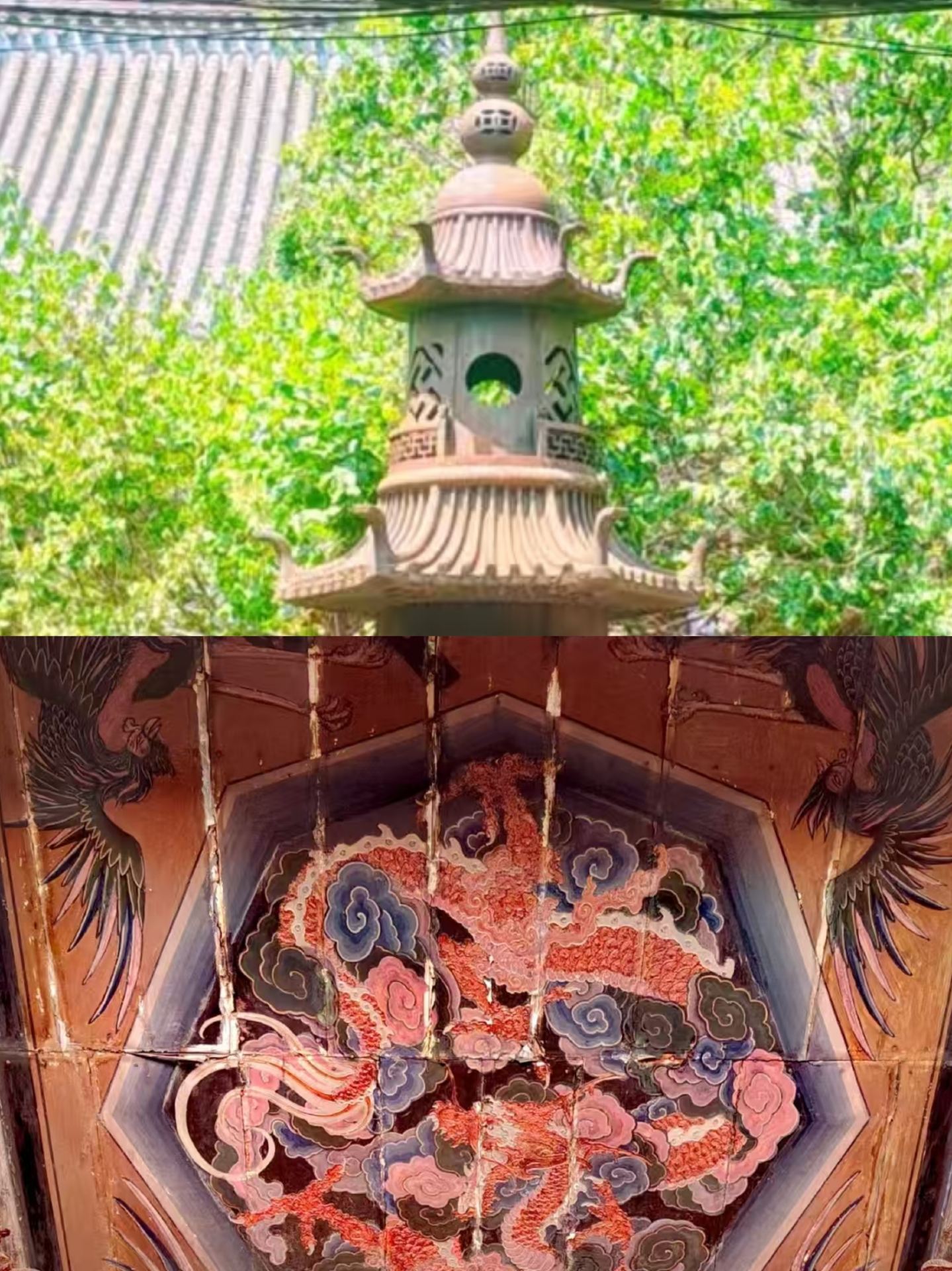 Just got back from Jinzhou, and I have to share this.