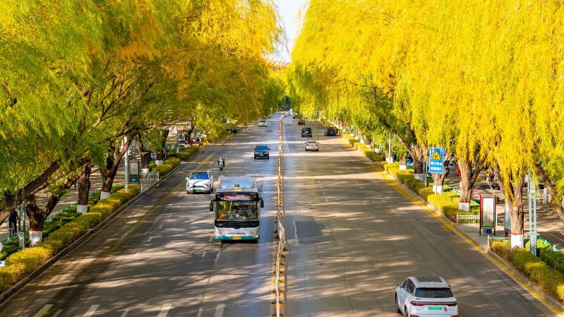Shenmu Waterscape Park | Encounter autumn romance by the lakeside in the northern frontier